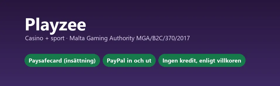 Playzee i korthet: Paysafecard för insättning, PayPal in och ut, ingen kredit enligt villkoren